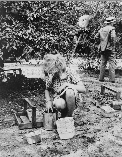 Young cherry picker, near Millville, New Jersey, 1936. Creator: Dorothea Lange.