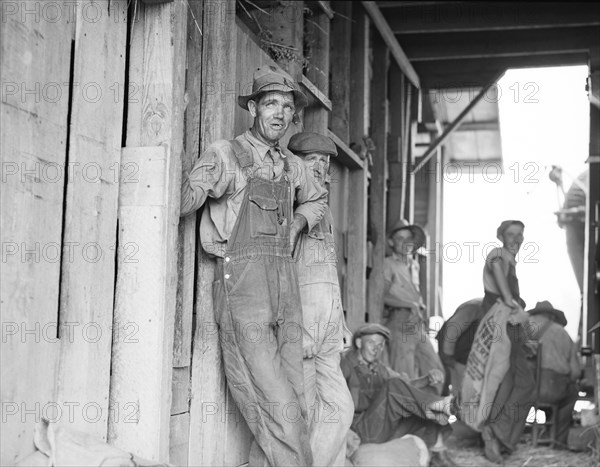 Farm hands - threshing day near Durham, North Carolina, 1936. Creator: Dorothea Lange.