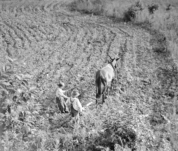 The older brother teaches the younger on a farm in the Piedmont, North Carolina, 1936. Creator: Dorothea Lange.