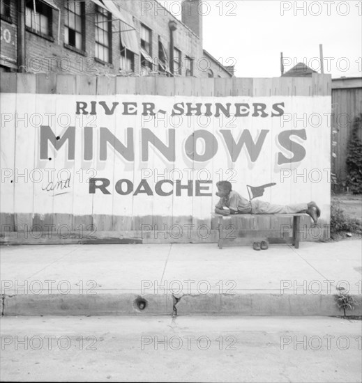 Coon dawgling, Memphis, Tennessee, 1936. Creator: Dorothea Lange.