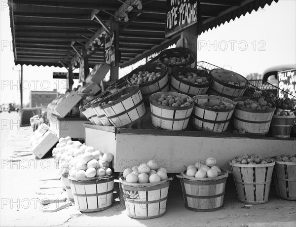 Center Market, Washington, D.C., 1936. Creator: Dorothea Lange.