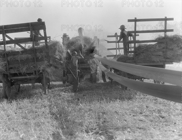 The threshing of oats, Clayton, Indiana, south of Indianapolis, 1936. Creator: Dorothea Lange.