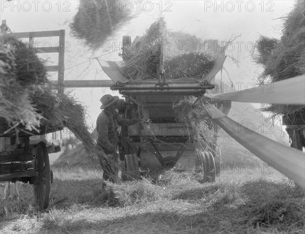 The threshing of oats, Clayton, Indiana, south of Indianapolis, 1936. Creator: Dorothea Lange.