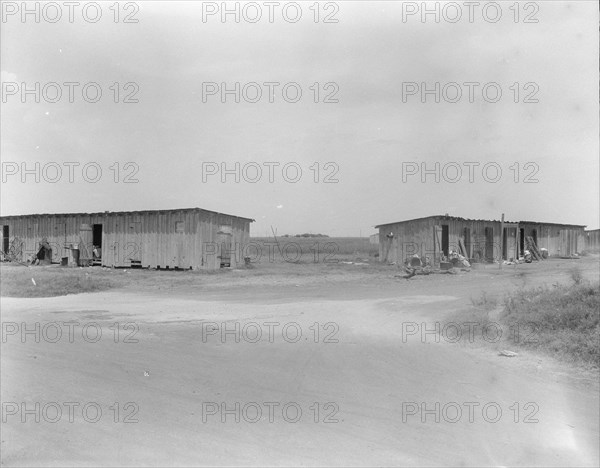 Cotton pickers camp near Robstown, Texas, 1936. Creator: Dorothea Lange.