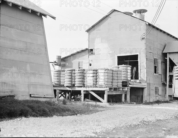 Cotton bales on gin platform, Robstown, Texas, 1936. Creator: Dorothea Lange.