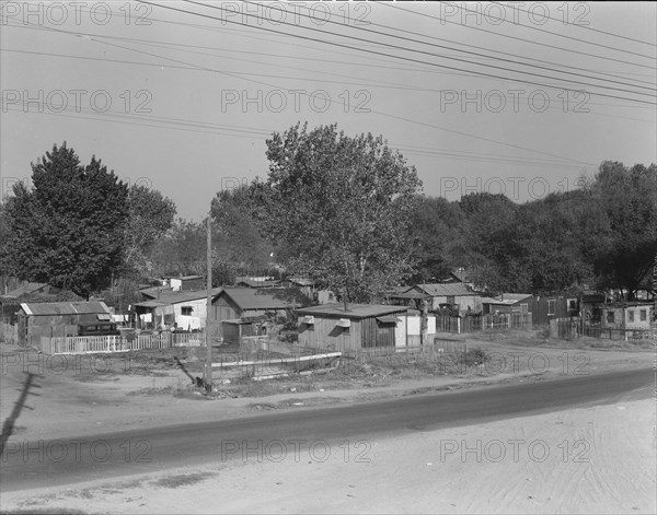 Winter migrant camp on the outskirts of Sacramento, California, 1936. Creator: Dorothea Lange.