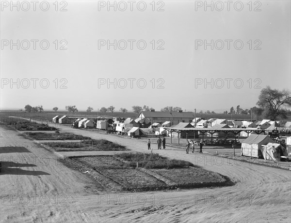 View of Kern County migrant camp showing community garden plots, California, 1936. Creator: Dorothea Lange.