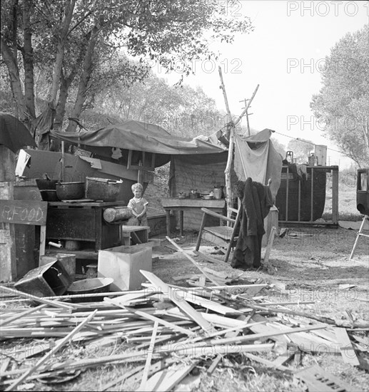 Destitute family, American River camp, Sacramento, California., 1936. Creator: Dorothea Lange.