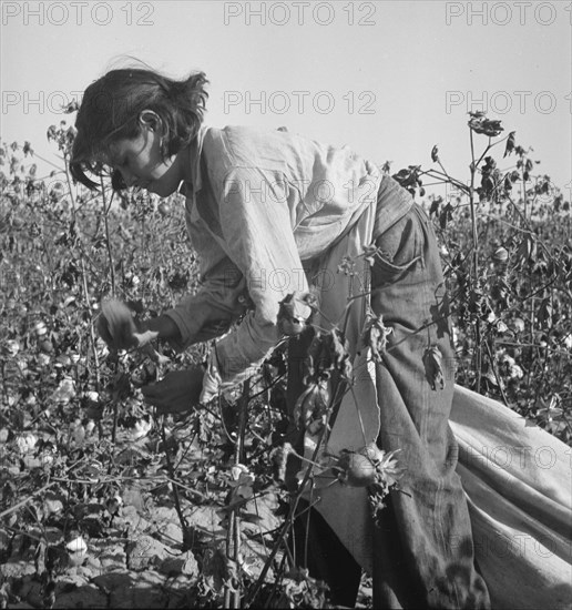 Cotton picker, Southern San Joaquin Valley, California, 1936. Creator: Dorothea Lange.