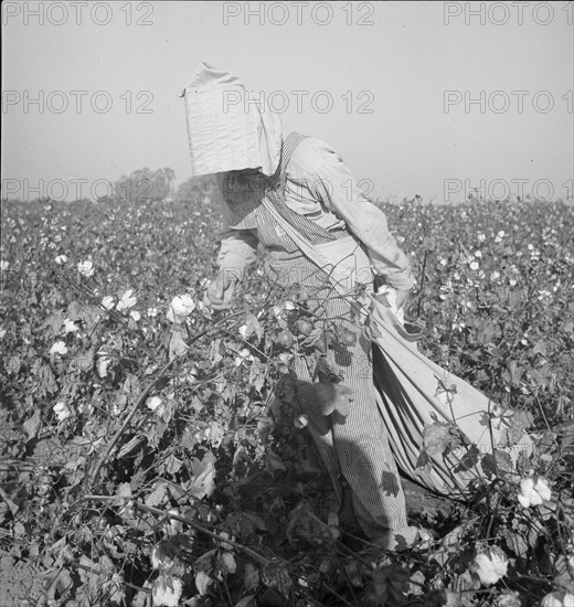 Cotton picker, Southern San Joaquin Valley, California, 1936. Creator: Dorothea Lange.