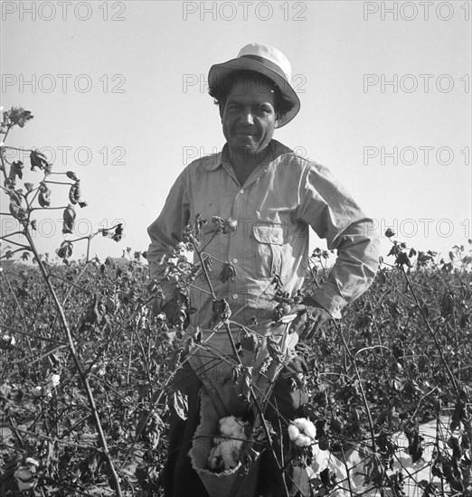 Cotton picker, San Joaquin Valley, California, 1936. Creator: Dorothea Lange.