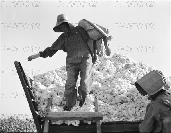 Cotton picker, San Joaquin Valley, California, 1936. Creator: Dorothea Lange.