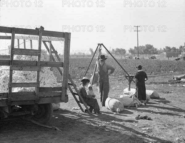 Cotton weigher, Southern San Joaquin Valley, California, 1936. Creator: Dorothea Lange.