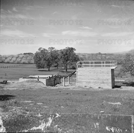 Sewage disposal plant at the Aqua Fria Farm security administration camp, Maricopa County, AZ., 1940 Creator: Dorothea Lange.