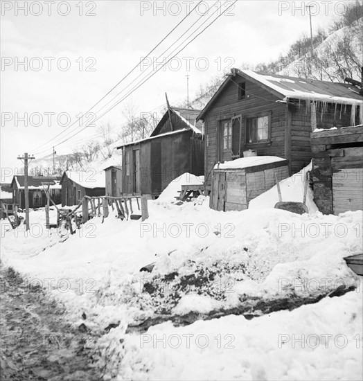 Company housing, Consumers, near Price, Utah, 1936. Creator: Dorothea Lange.