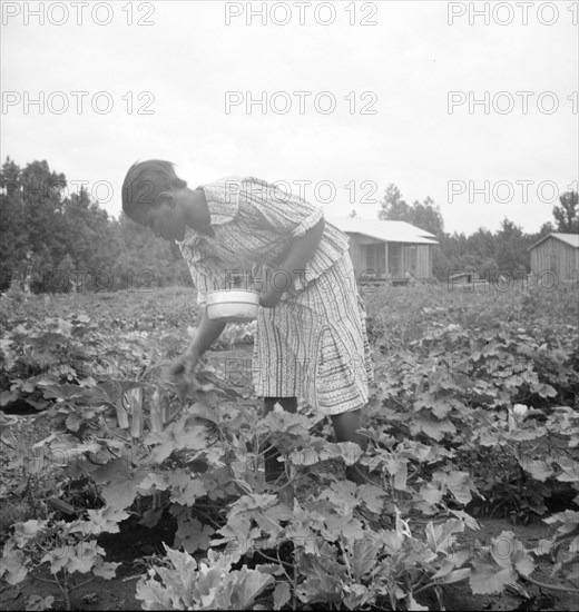 Family of one of the evicted sharecroppers...Mississippi, 1936. Creator: Dorothea Lange.