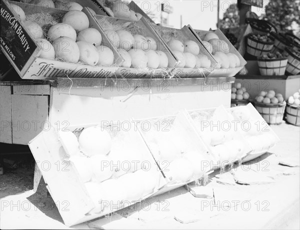 Center Market, Washington, D.C., 1936. Creator: Dorothea Lange.