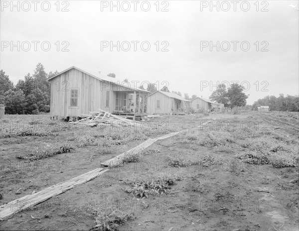 New cabins at Hill House, Mississippi, 1936. Creator: Dorothea Lange.