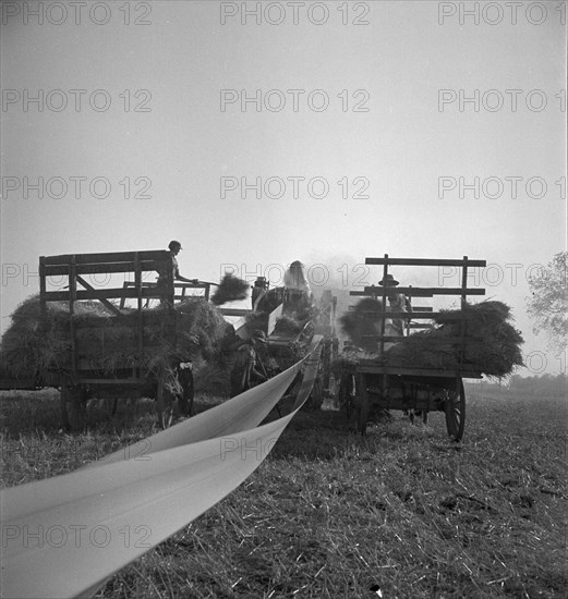 The threshing of oats, Clayton, Indiana, south of Indianapolis, 1936 Creator: Dorothea Lange.