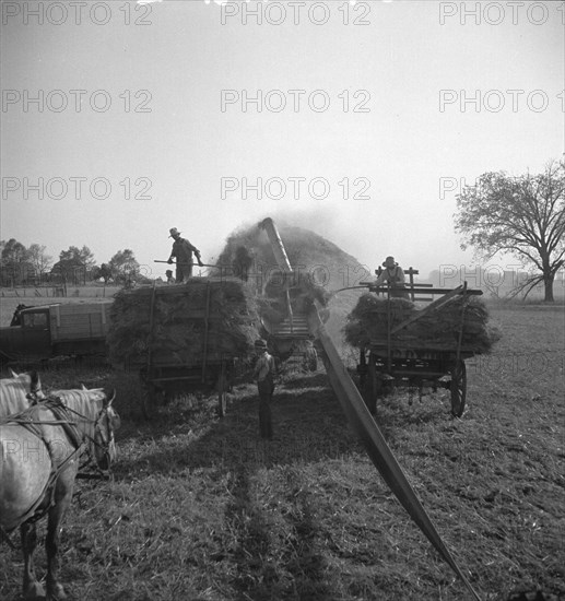 The threshing of oats, Clayton, Indiana, south of Indianapolis, 1936 Creator: Dorothea Lange.