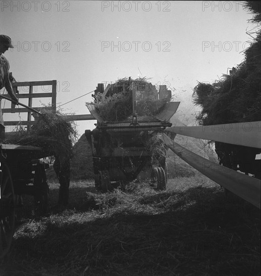 The threshing of oats, Clayton, Indiana, south of Indianapolis, 1936 Creator: Dorothea Lange.