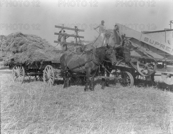 The threshing of oats, Clayton, Indiana, south of Indianapolis, 1936 Creator: Dorothea Lange.