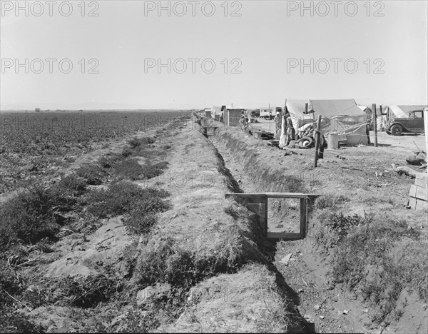 Refugees camped by the roadside beside an irrigated pea field, nine miles from Calipatria, CA, 1937. Creator: Dorothea Lange.