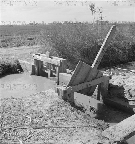 Irrigation ditch alongside the road, Imperial Valley, California, 1937. Creator: Dorothea Lange.