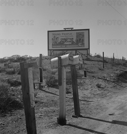 Billboard on U.S. Highway 99, California, 1937. Creator: Dorothea Lange.