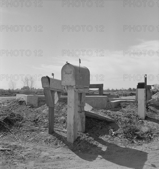 Mail boxes and irrigation gates, Imperial Valley, California, 1937. Creator: Dorothea Lange.