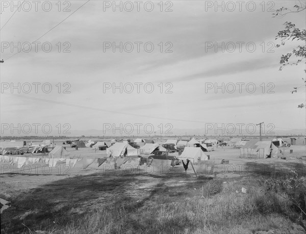 Auto camp north of Calipatria, California, 1937. Creator: Dorothea Lange.