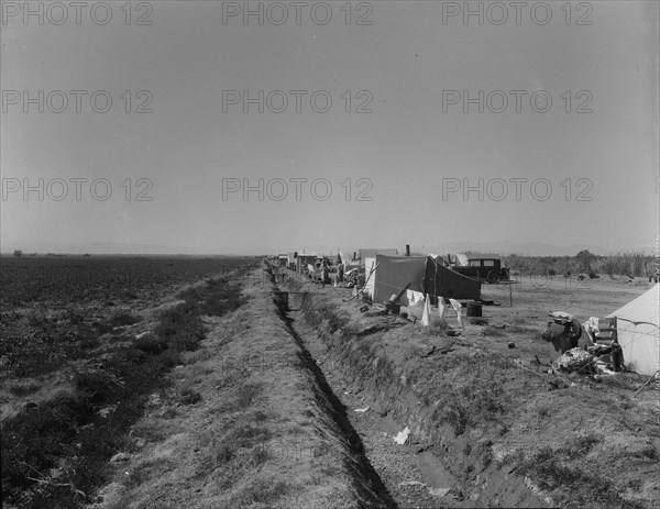 Squatter camp on county road near Calipatria, 1937. Creator: Dorothea Lange.