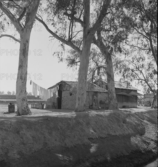 Ditch bank housing for Mexican field workers, Imperial Valley, California, 1937. Creator: Dorothea Lange.