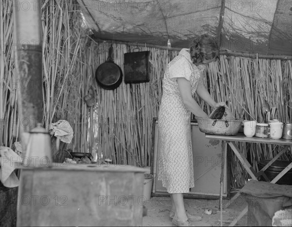 Drought refugee living in a ditch bank camp, Imperial County, California, 1937. Creator: Dorothea Lange.