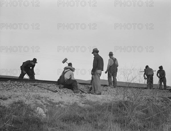 White section gang near King City, California, 1937. Creator: Dorothea Lange.