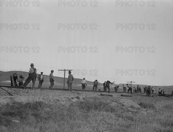 White section gang near King City, California, 1937. Creator: Dorothea Lange.