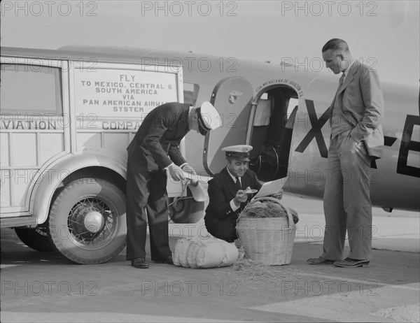 Plant quarantine inspectors examining baggage from Mexico, Glendale Airport, California, 1937. Creator: Dorothea Lange.