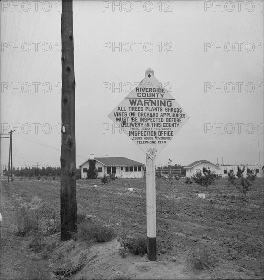 Sign on road entering California where there is now plant quarantine inspection, 1937. Creator: Dorothea Lange.