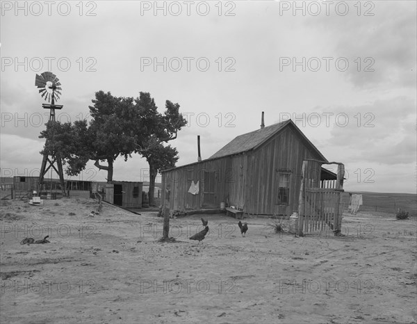 Texas tenant farmer's house, 1937. Creator: Dorothea Lange.