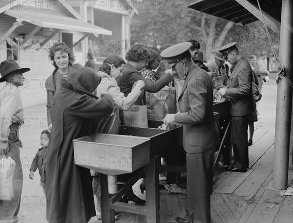 State border plant inspection between Mexico and the United States, 1937. Creator: Dorothea Lange.