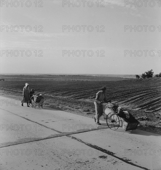 Flood refugee family near Memphis, Texas, 1937. Creator: Dorothea Lange.