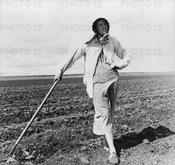 Wife of Texas tenant farmer, 1937. Creator: Dorothea Lange.