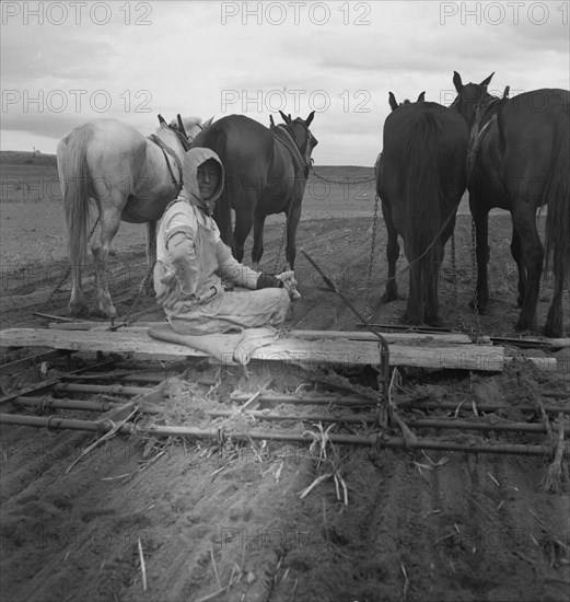 West Texas tenant farmer's wife, 1937. Creator: Dorothea Lange.