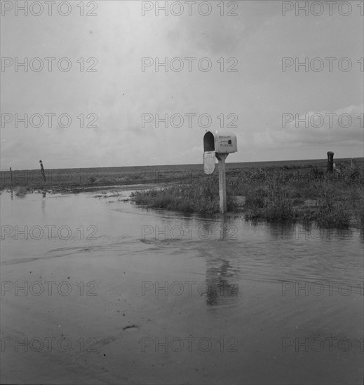 This year (1937) there are floods and heavy rains in the Dust Bowl, Texas, 1937. Creator: Dorothea Lange.