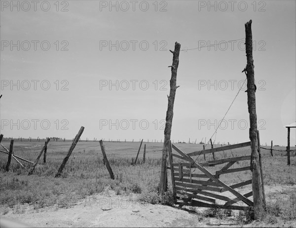 Abandoned land, exhausted soil, Carter County, Oklahoma, 1937. Creator: Dorothea Lange.