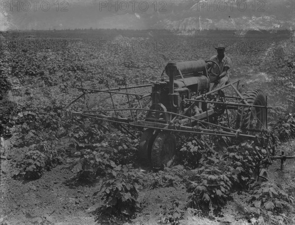 Tractor and integrated four-row cultivator, Aldridge Plantation, near Leland, Mississippi, 1937. Creator: Dorothea Lange.