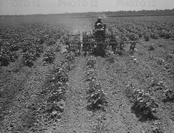 Tractor on the Aldridge Plantation, Mississippi, 1937. Creator: Dorothea Lange.