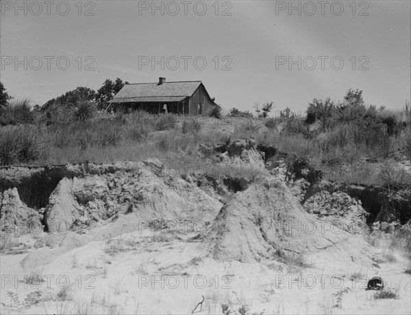 Eroded cotton farm near Jackson, Mississippi, 1937. Creator: Dorothea Lange.