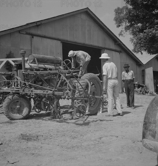 Aldridge Plantation, Mississippi, 1937. Creator: Dorothea Lange.