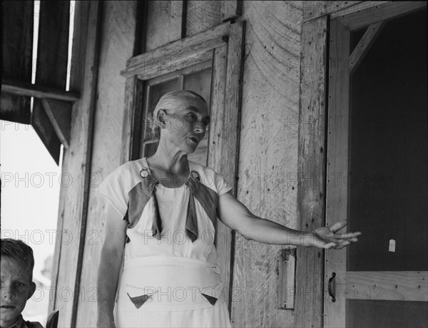 Grandmother of sharecropper family near Cleveland, Mississippi, 1937. Creator: Dorothea Lange.